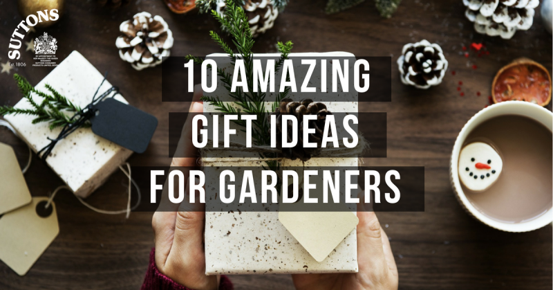 home gardening ideas