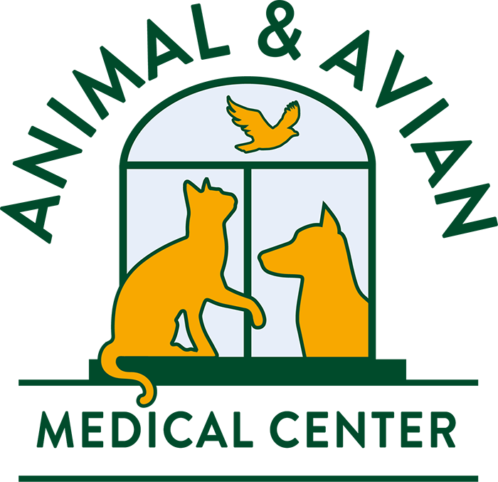 veterinary clinics near me