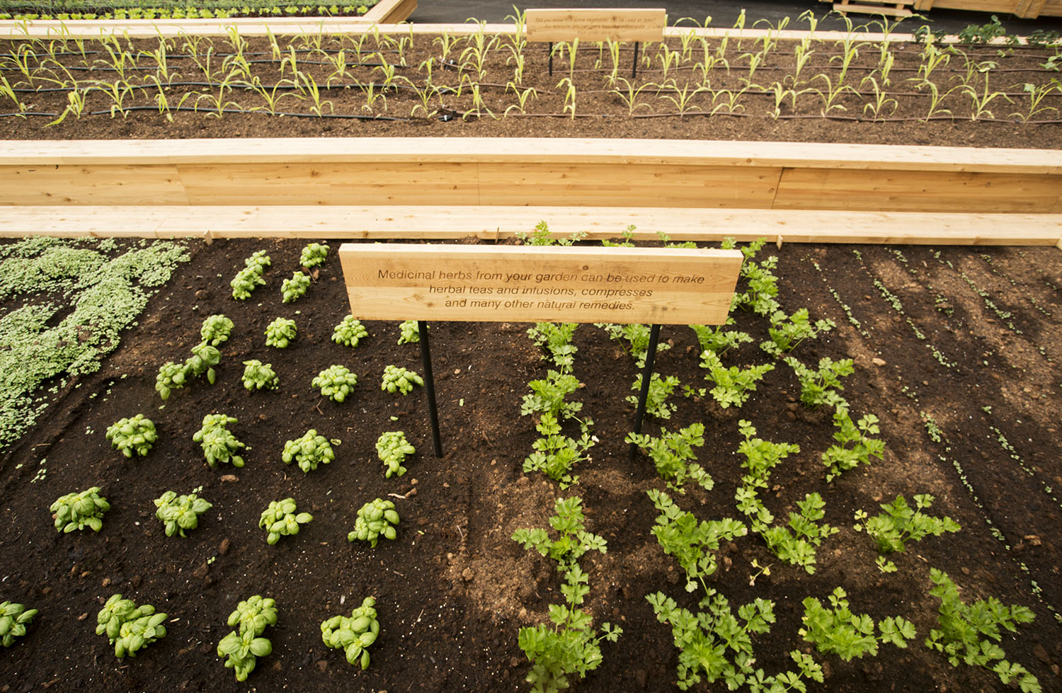 What is indoor gardening?
