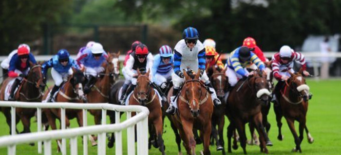 online horse racing betting