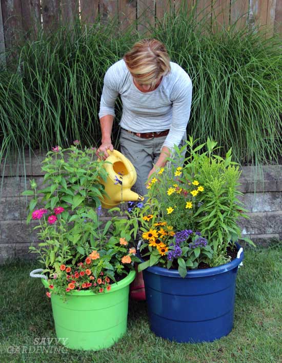 spring gardening tips