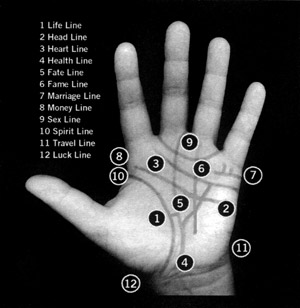 palm reading guide left hand