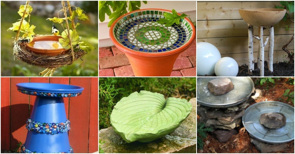 vegetable container gardening ideas