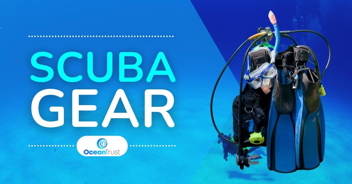 key west scuba diving packages