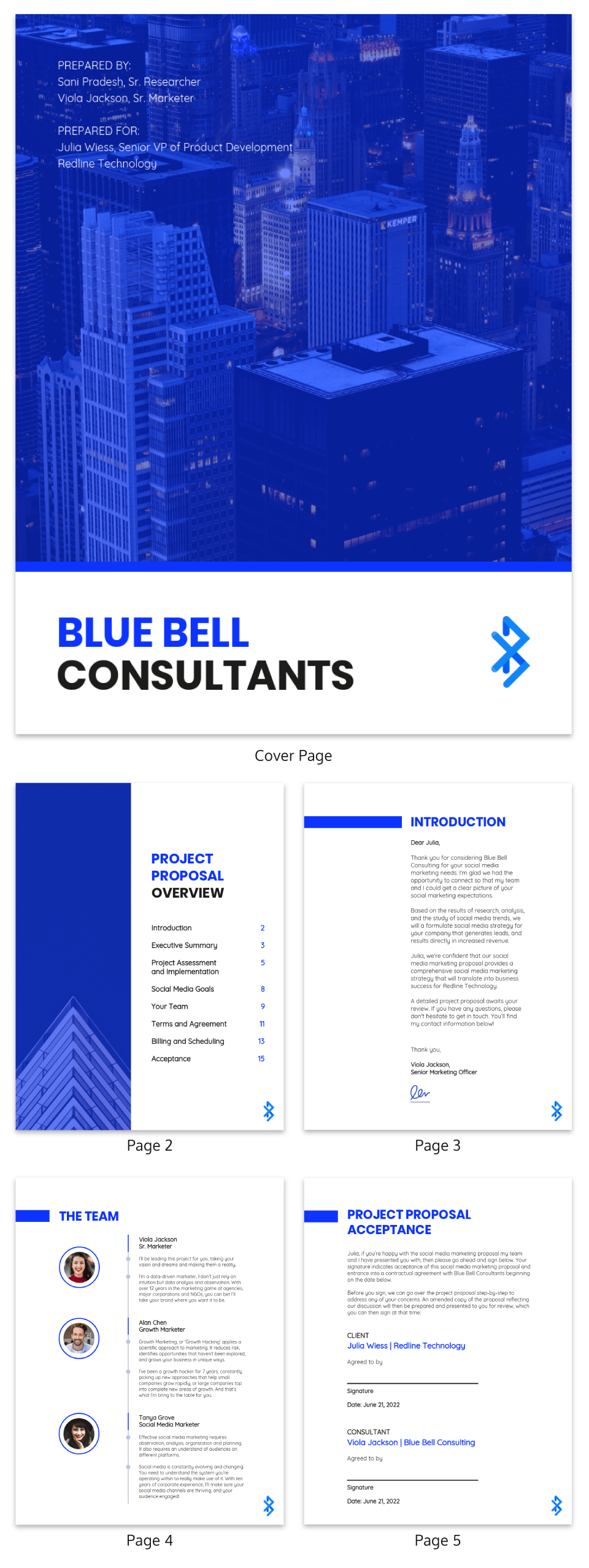 consult firm