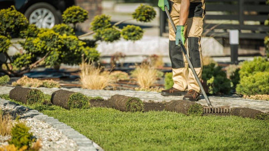 gardening tips using coffee grounds