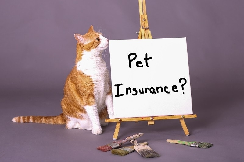 is pet care supplies legit