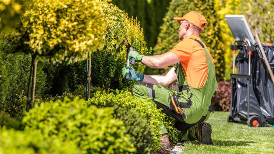 Vegetable Gardening