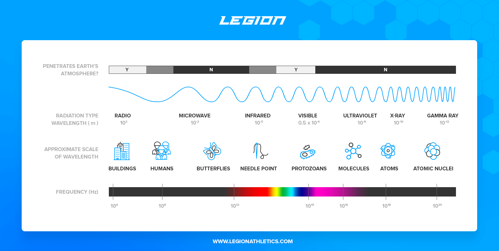 The Difference Between LISS Cardio and HIIT
