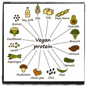 is vegan lifestyle healthy