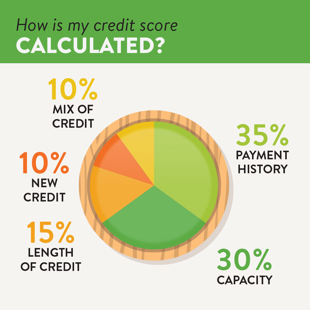 myecon credit repair